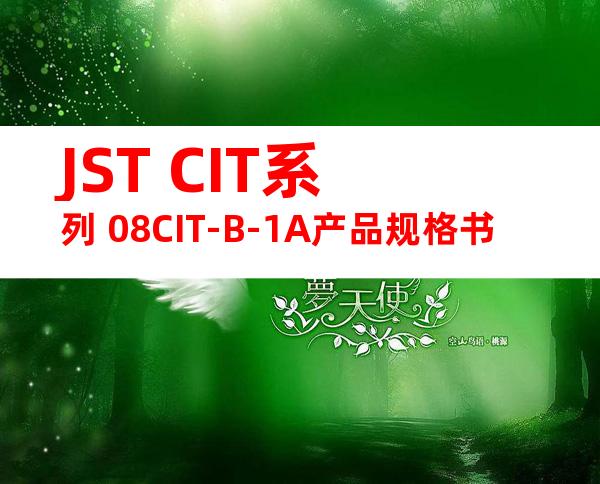 JST CIT系列 08CIT-B-1A产品规格书